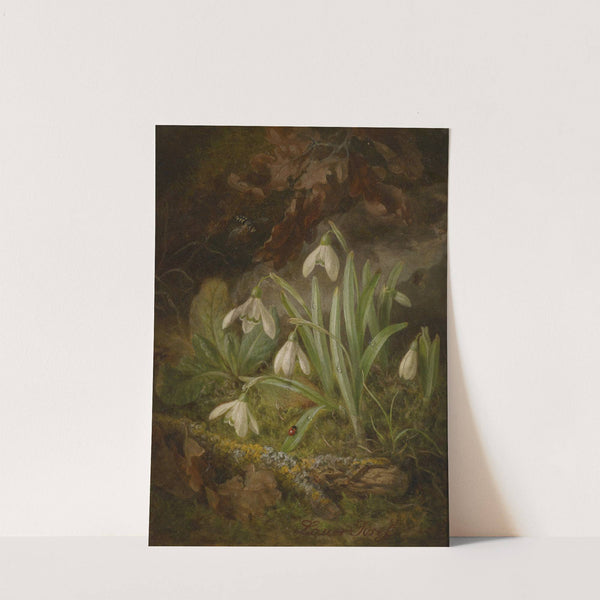 Waldbodenstück mit Schneeglöckchen by Josef Lauer
