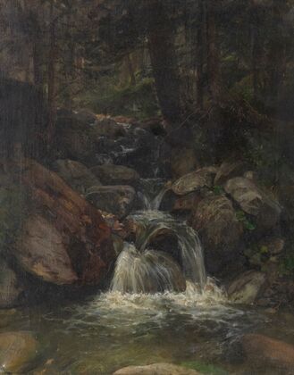 Waldinneres mit Wasserfall