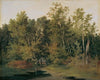 Waldlandschaft in Niederösterreich