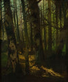 Waldlichtung