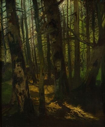 Waldlichtung