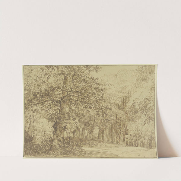 Waldpartie, links vom Wege eine grosse Eiche by Jan Lievens