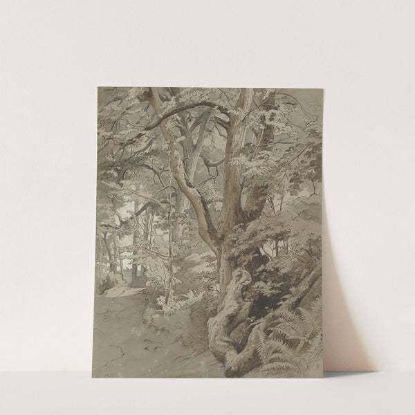 Waldpartie mit einer Eiche und Farnkraut by Johann Wilhelm Schirmer