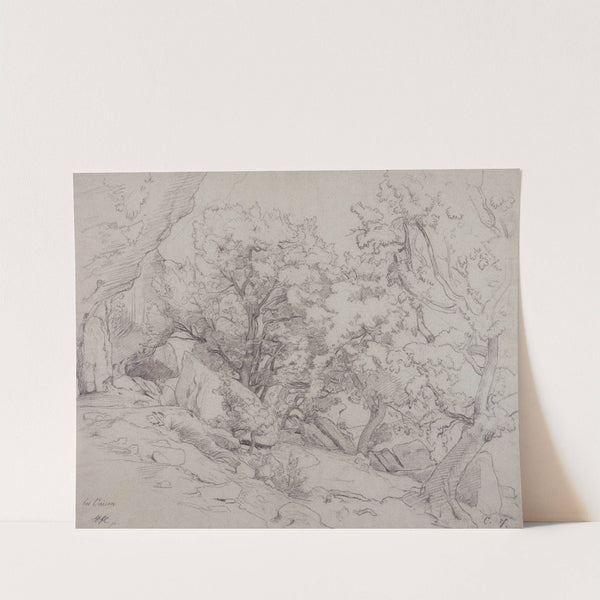 Waldstück bei Vaison-la-Romaine by Johann Wilhelm Schirmer