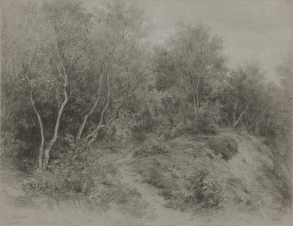 Waldweg bei Königstein-Falkenstein