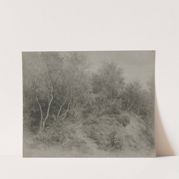 Waldweg bei Königstein-Falkenstein by Adolf Hoeffler