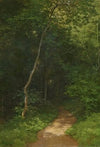 Waldweg Forest Track