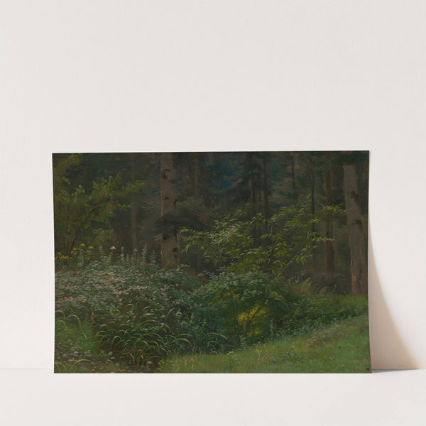 Waldwiese mit Stauden und Sträuchern by Emil Lugo