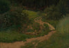 Waldwiese mit Weg und Wassertümpel