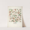 Wallpaper by American 20th Century
