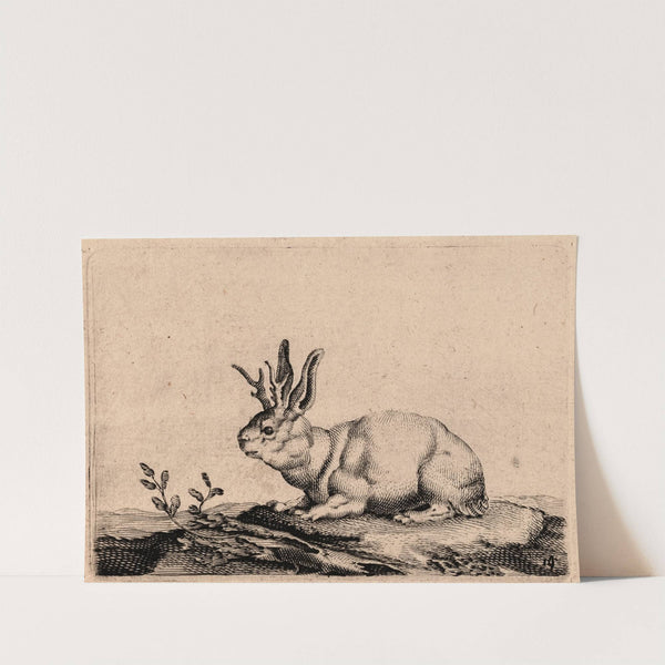 Warande der Beesten by Salomon Savery