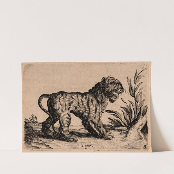 Warande der Beesten by Salomon Savery