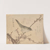 Warbler on plum branch by Kubo Shunman