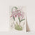 Warted Epidendrum (1815-1819) by Sydenham Edwards