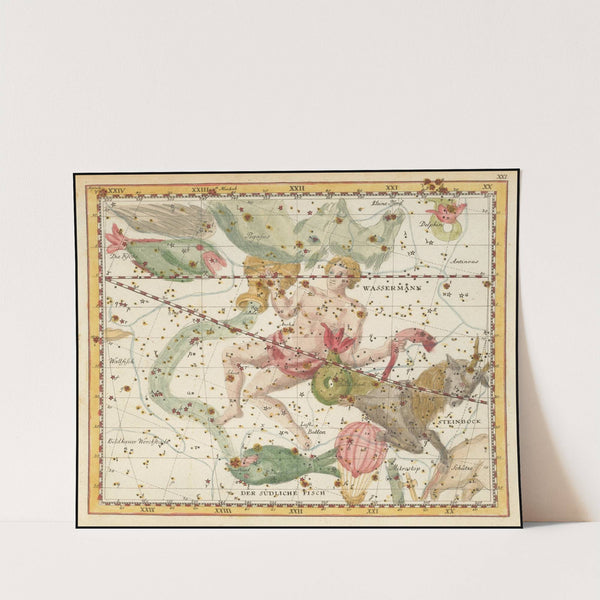 Wassermann, Steinbock, Der Südliche Fisch (1805) by Johann Elert Bode