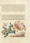 Water Gnat, Martagon Lily, Yellow-Bellied Toad, and European Screw Shell (1561–1596)