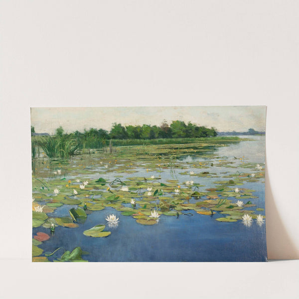 Water lilies by Henryk Weyssenhoff
