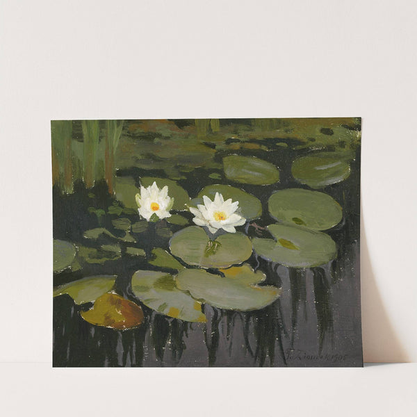 Water lilies by Teodor Ziomek