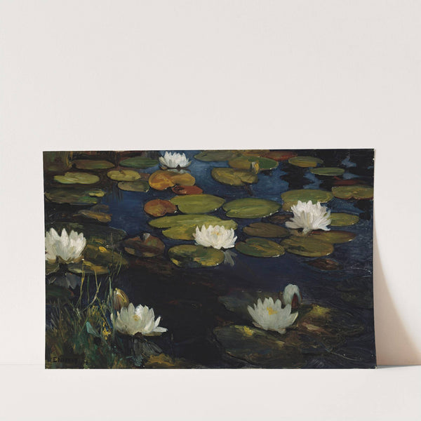 Water Lilies, Study for the Youth and a Mermaid (1896) by Albert Edelfelt