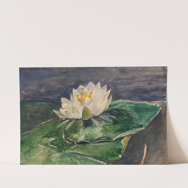 Water Lily by John La Farge