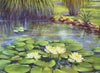Water lily