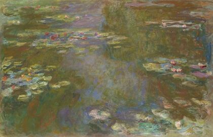 Water Lily Pond