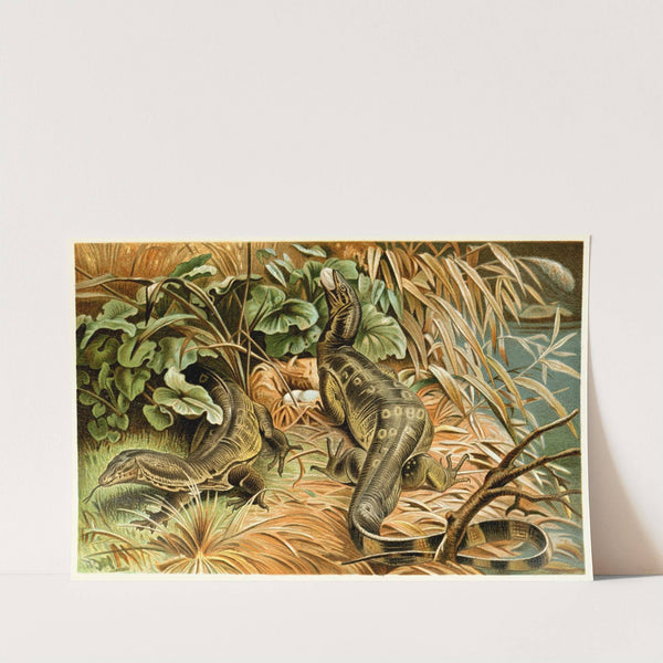 Water-monitors robbing a nest by Anonymous