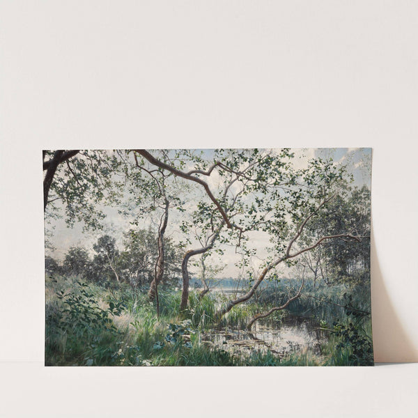 Water Vegetation. Motif from Östergötland by Johan Krouthén