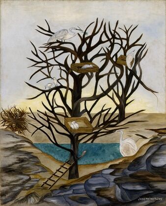 Waterbirds Nesting (ca. 1935-1939)