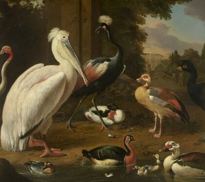 Waterfowl, Melchior de Hondecoeter