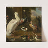 Waterfowl, Melchior de Hondecoeter by Melchior d'''Hondecoeter
