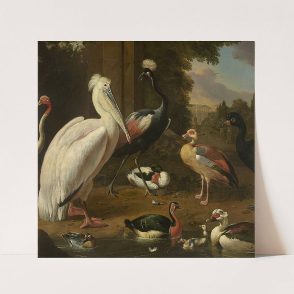 Waterfowl, Melchior de Hondecoeter by Melchior d'''Hondecoeter