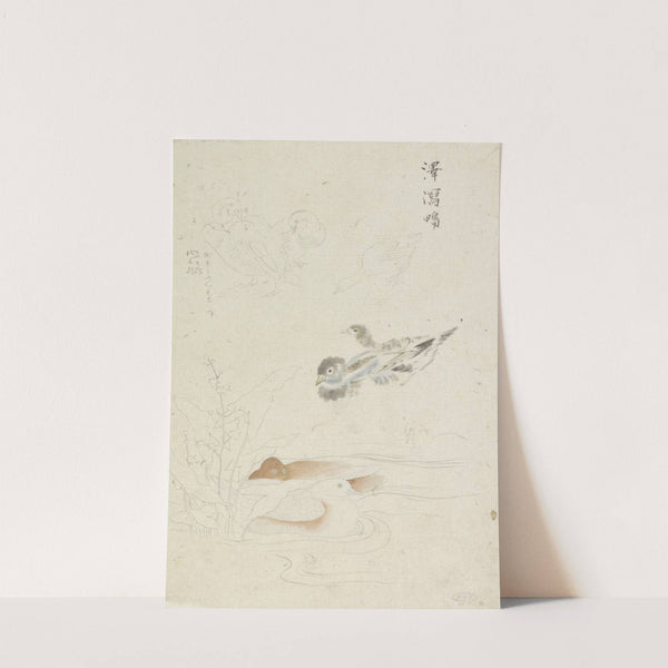 Watervogels by Ishikawa Kazan