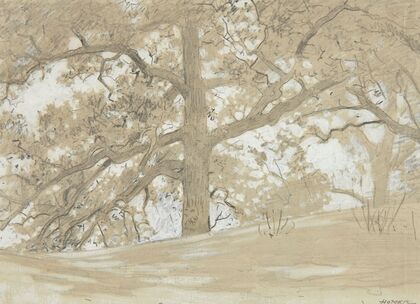 Waverly Oaks