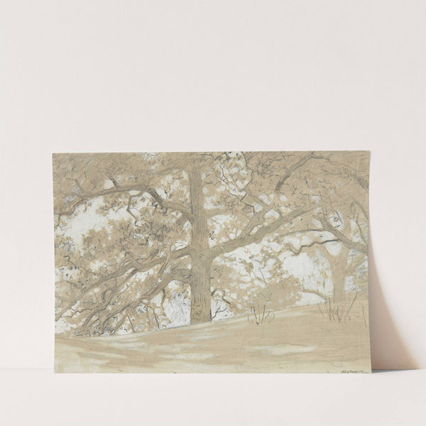 Waverly Oaks by Winslow Homer