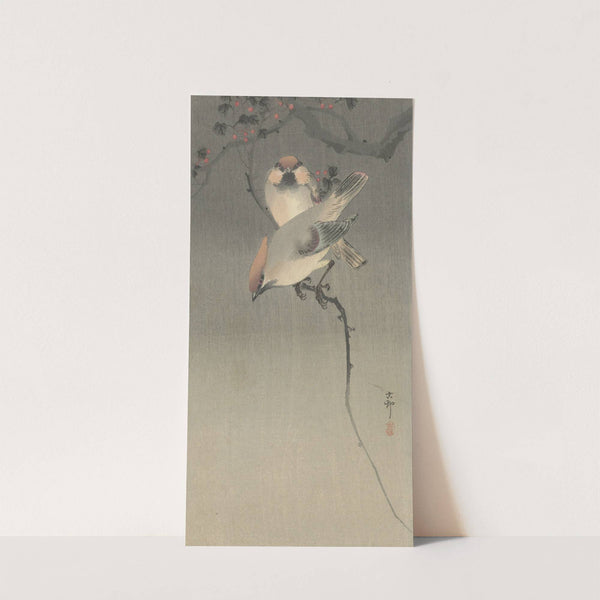 Waxwing birds by Ohara Koson