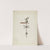 Weather Vane by Edward L. Loper