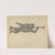 Weather Vane by Bernard Westmacott