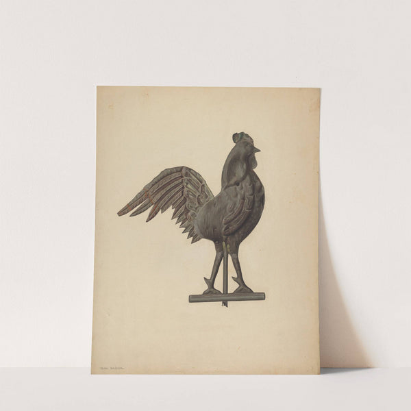 Weather Vane - Cock by Selma Sandler