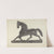 Weather Vane - Horse by Herman Bader