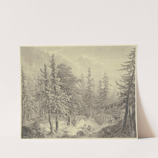 Weg durch einen dichten Tannenwald by Adrian Zingg