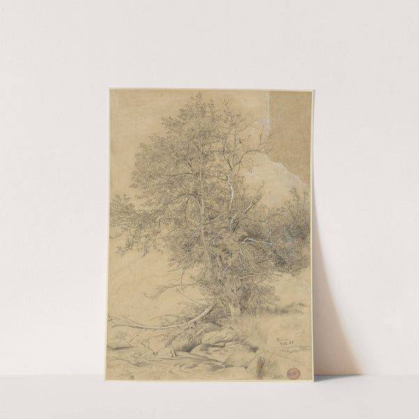 Weide am Bach (1866) by Hans Thoma