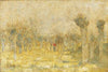 Weiden im Frühling (1893)