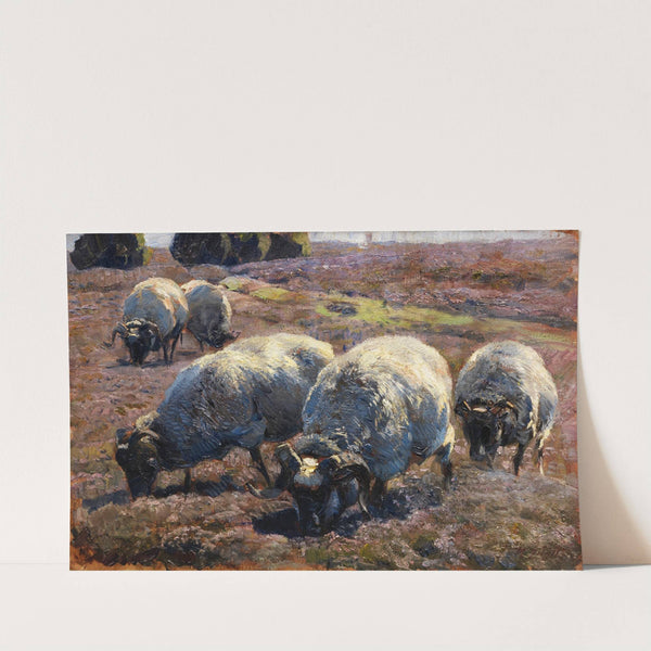 Weidende Schnucken in sonniger Heide (1901-1904) by Heinrich Von Zügel