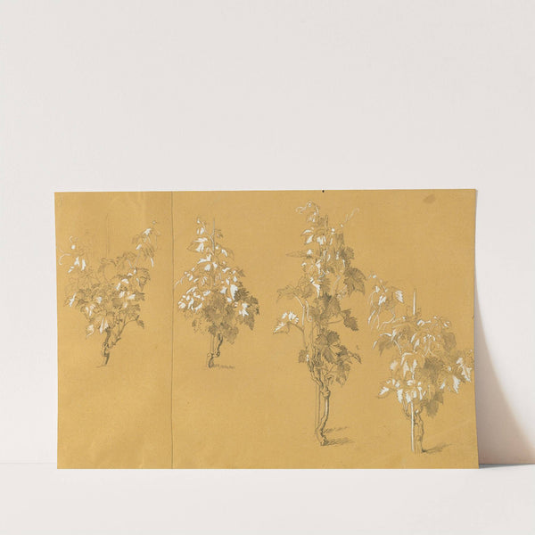 Weinstock, Studie zu ‘Hermann und Dorothea im Weinberg’ (before 1840) by Johann Peter Krafft