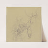 Weitgehend kahler Baum in starker Untersicht by Jakob Becker