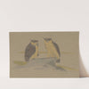 Wenskaart met twee uilen by Theo van Hoytema