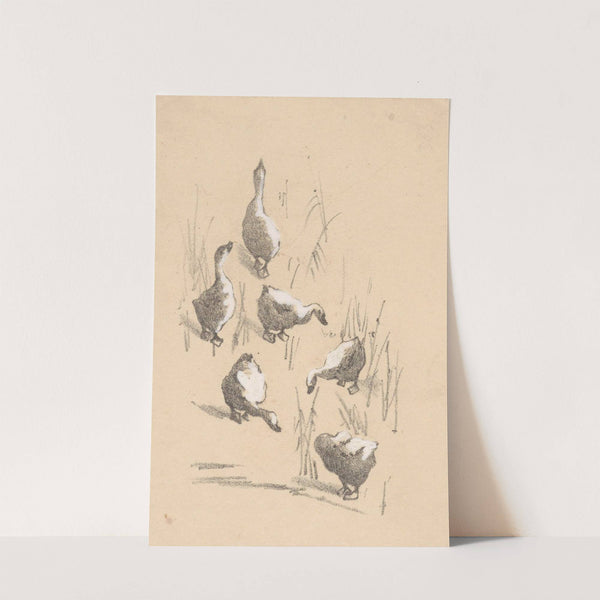 Wenskaart met zes ganzen by Theo van Hoytema