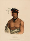 Wesh-Cubb. A Chippeway Chief 2