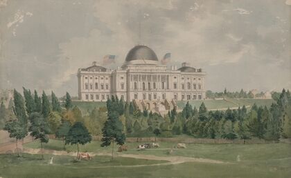 West front of the United States Capitol with cows in the foreground
